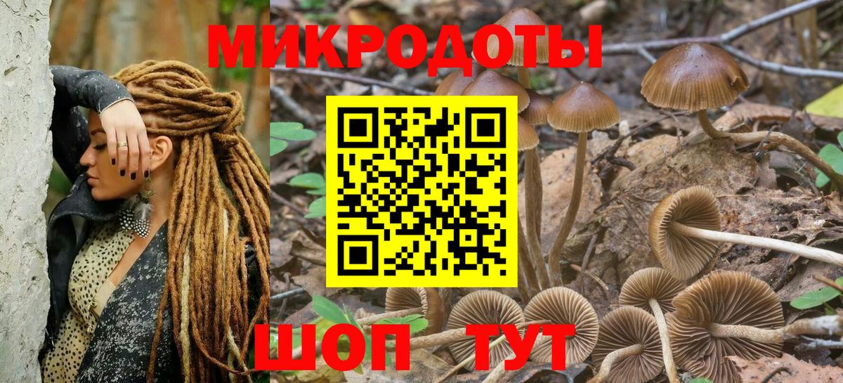 Бор  Псилоцибиновые грибы мухоморы  купить   Вход с VPN 