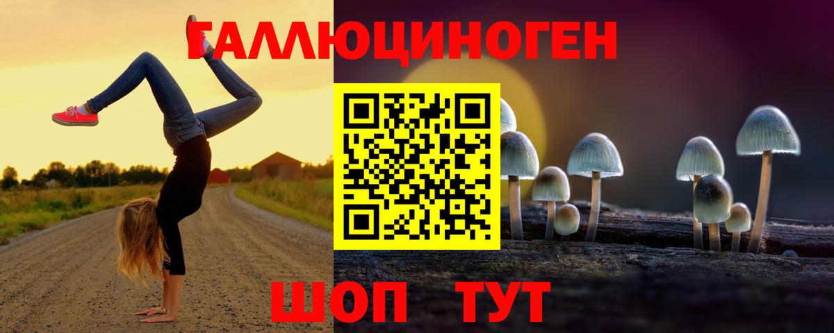 Псилоцибиновые грибы Magic Shrooms Бор